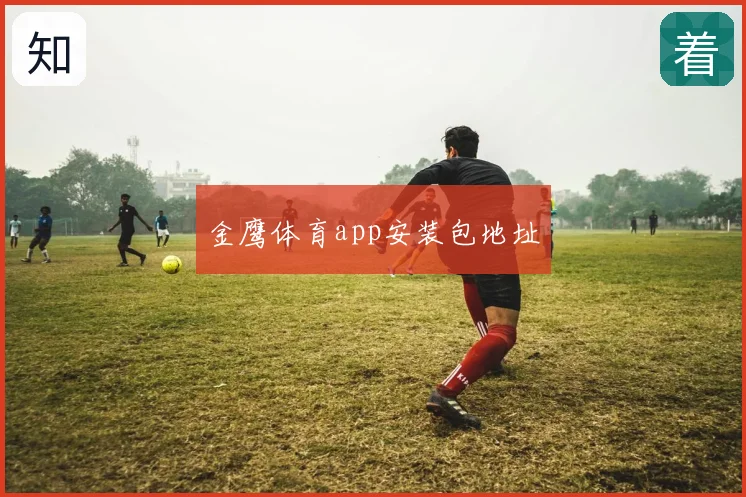 金鹰体育app安装包地址